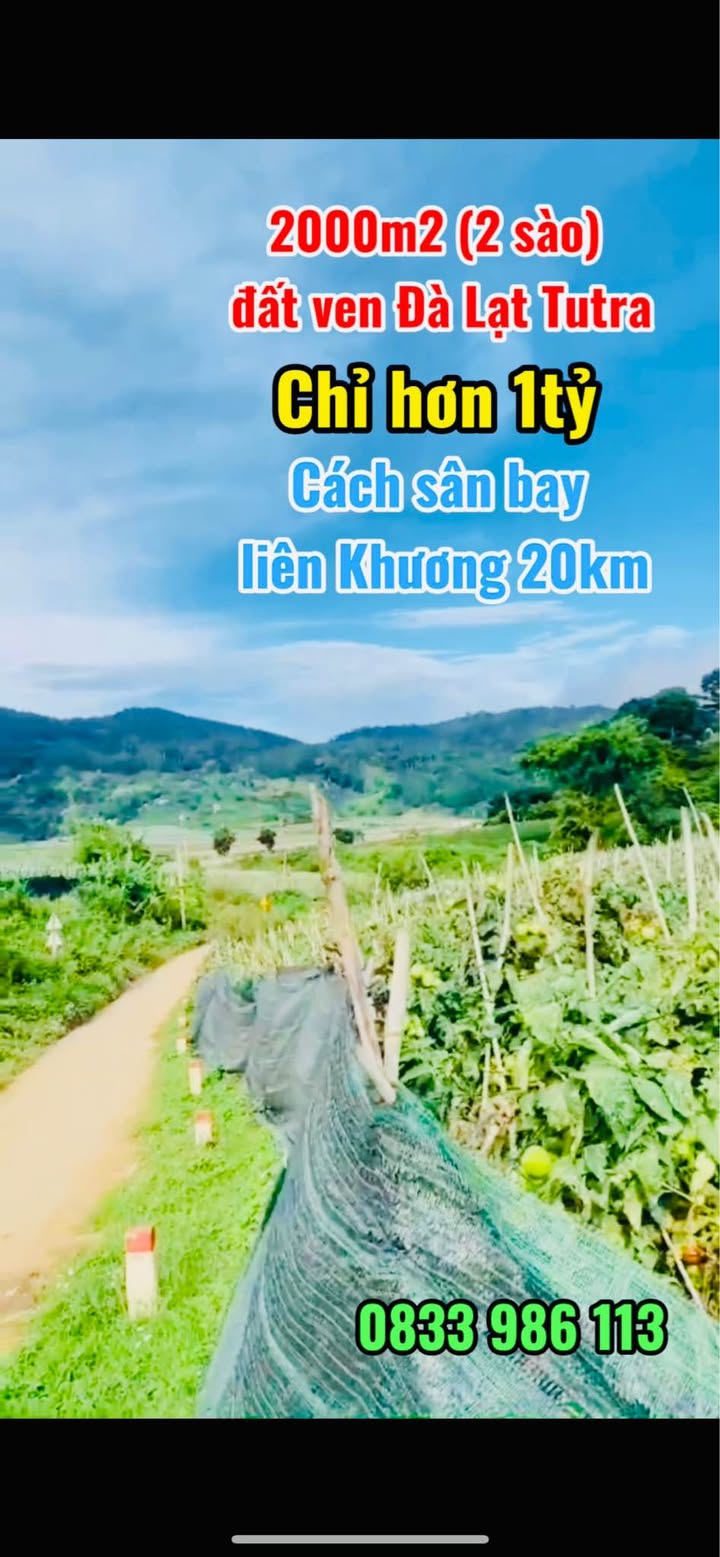 Đất nền 2000m² tại Tu Tra - Đơn Dương, chỉ 1 tỷ - Cơ hội đầu tư tuyệt vời!