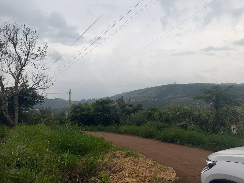 Lô đất 1.500m² tại Nam Hà, Lâm Hà - Giá chỉ 1.65 tỷ - Tiềm năng đầu tư cao!