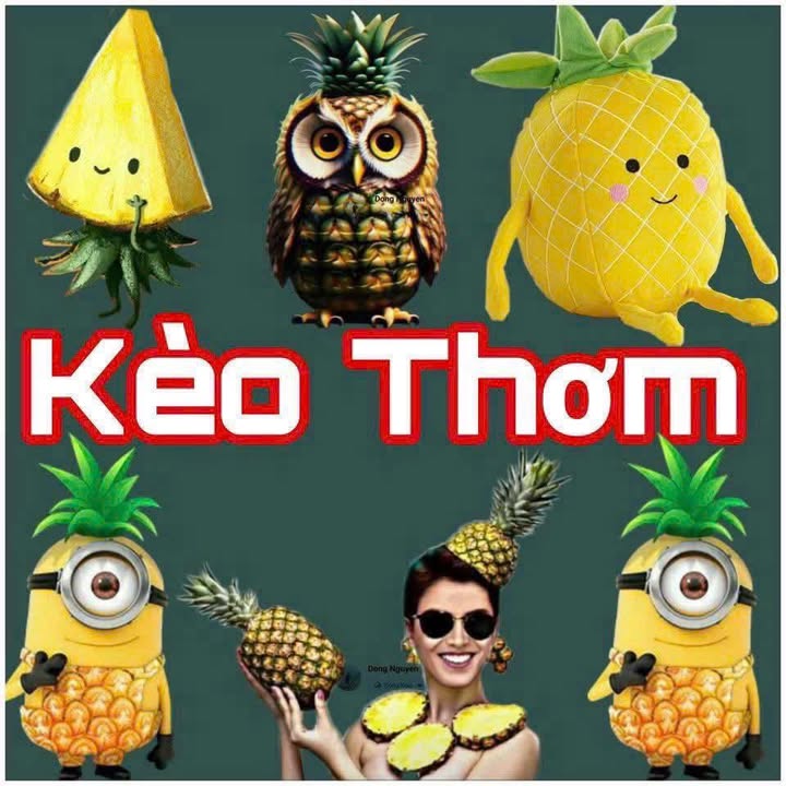 Đất thổ cư Hố Nai, Biên Hòa 80m² chỉ 2.7 tỷ - Sổ đỏ chính chủ!