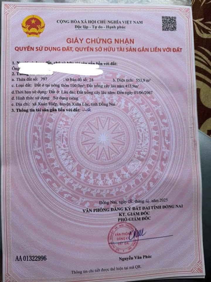 Đất nền Xuân Hiệp 100m² giá chỉ 800 triệu - Đầu tư sinh lời ngay!