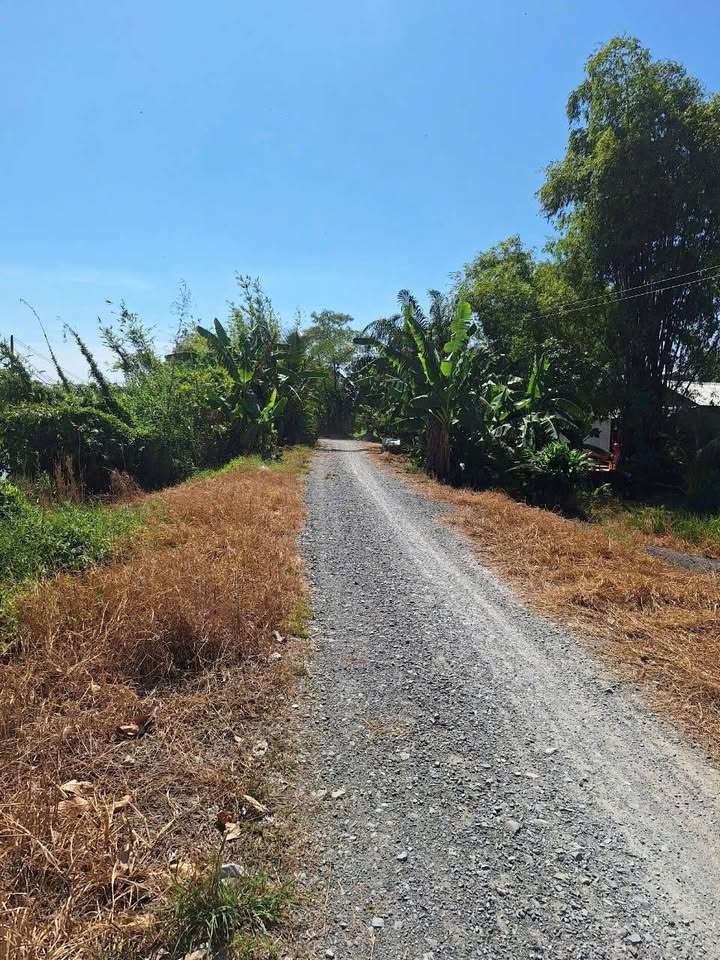 Đất nông nghiệp 85000m² tại ấp Đá Biên, Thạnh Phước, chỉ 1.085 tỷ - Cơ hội đầu tư hấp dẫn!