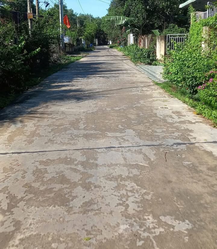 Đất nền khu phố 6, phường Minh Hưng 730m² giá 800 triệu - Phù hợp xây trọ kinh doanh