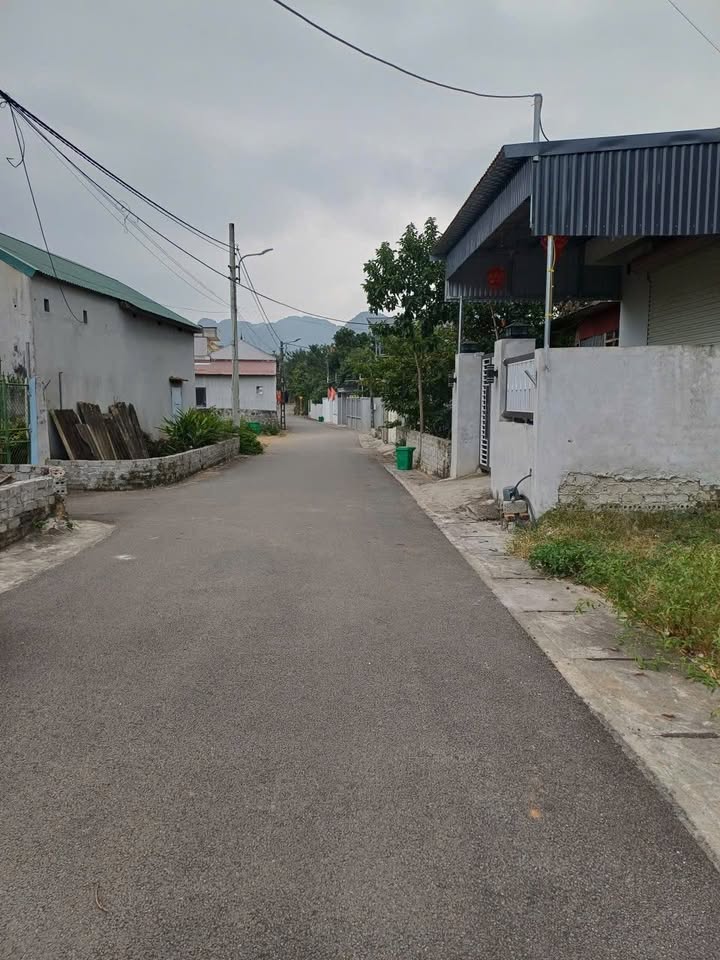 Đất thổ cư Đông Sơn, Tam Điệp 2535m² - Giá chỉ 800 triệu, ô tô vào tận nơi!