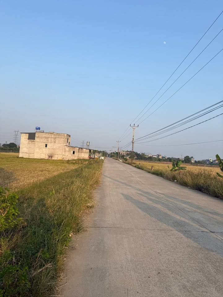 Đất nền xã Văn Phong, huyện Nho Quan, 1400m² - Đầu tư sinh lời ngay!