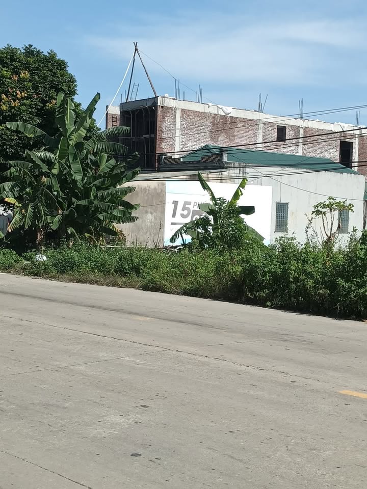 Lô đất 100m² Quốc lộ 12B, Nho Quan chỉ 200 triệu - Đầu tư sinh lời ngay!