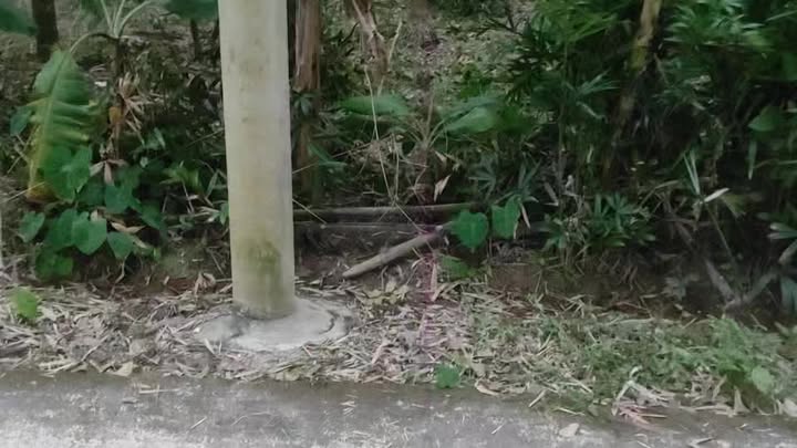 Đất thổ cư Gia Sơn Nho Quan 440m² giá 700 triệu - Mặt tiền 12m, không lụt lội!