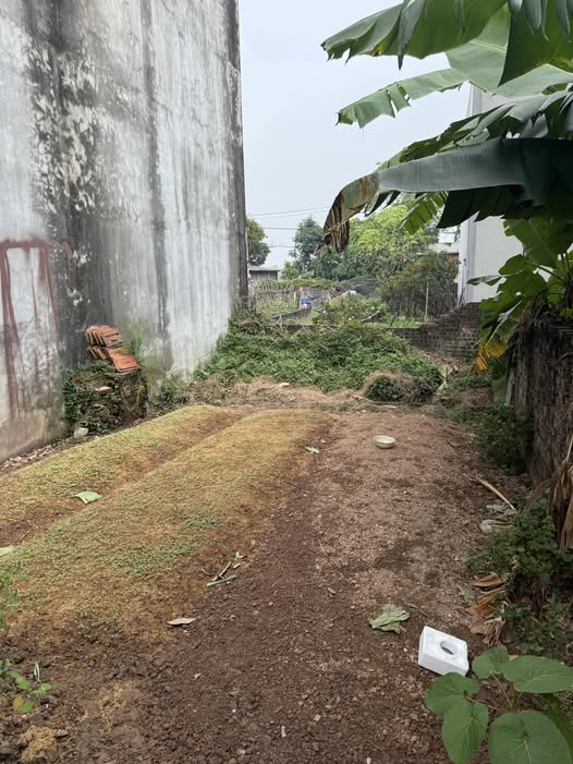 Đất nền Mai Lâm, Đông Anh 503m² - Hướng Nam, gần chợ và trường học!