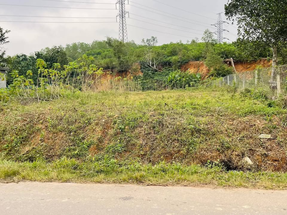 Đất nền chính chủ tại xã Nam Thái, 300m² giá chỉ 1 tỷ - Cơ hội đầu tư tuyệt vời!