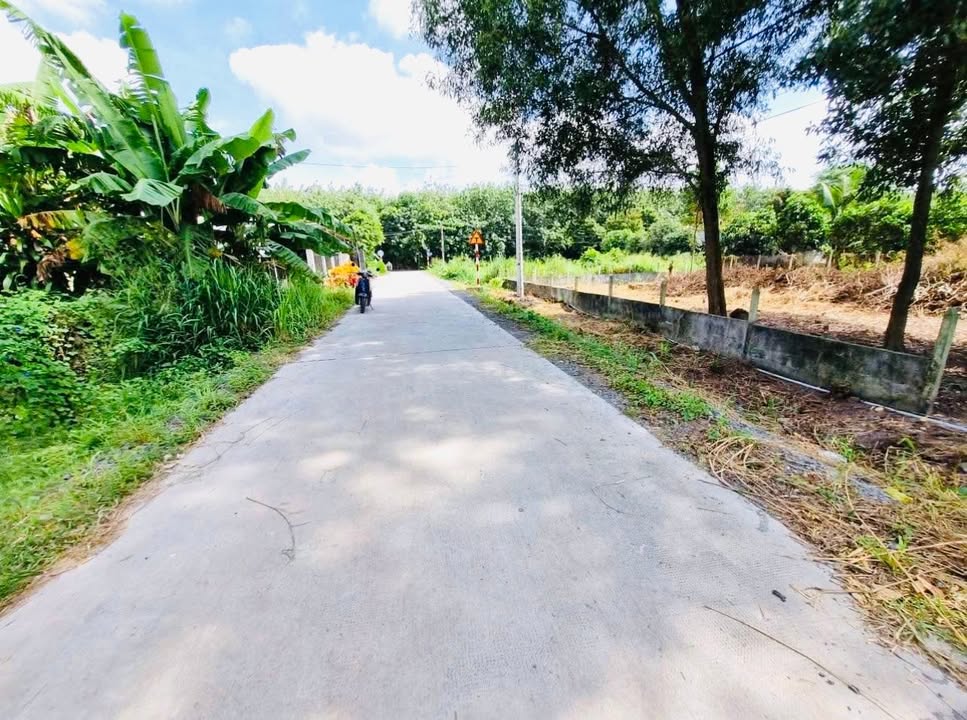 Đất thổ cư 654m² tại An Phú, Củ Chi - Giá bán gấp chỉ 2 tỷ!