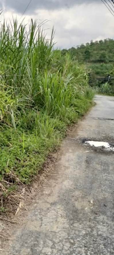 Đất mặt tiền T11 Đại Lào 500m² giá 1 tỷ - Sổ đỏ chính chủ, sẵn sàng giao dịch!