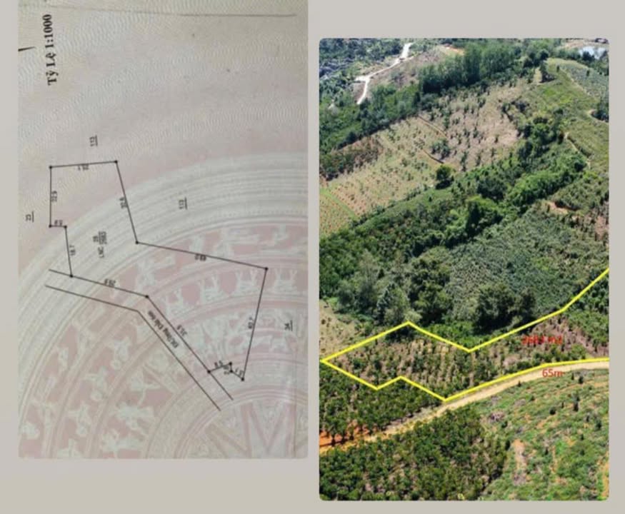 Đất nền Bảo Lộc 972m² giá 1.9 tỷ - Đường Chi Lăng rộng thoáng