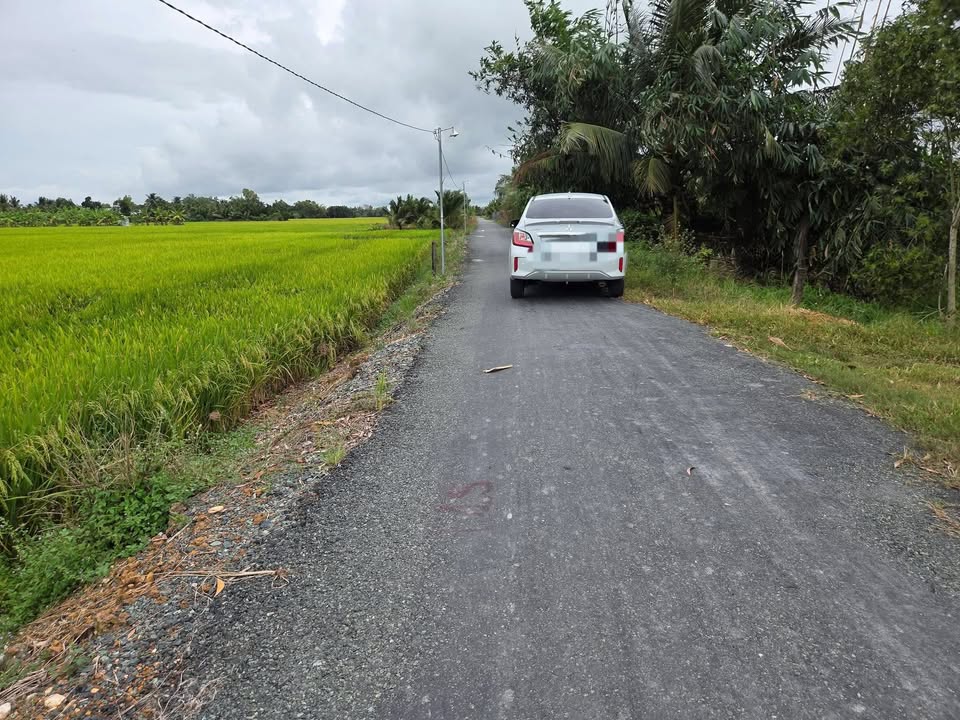 Đất lúa 2500m² mặt tiền đường An Hòa - Giá chỉ 1.425 tỷ VND!