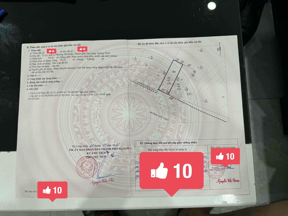 Đất mặt đường Giếng Đáy, Hạ Long 59m² giá 4 tỷ - Đầu tư sinh lời ngay!