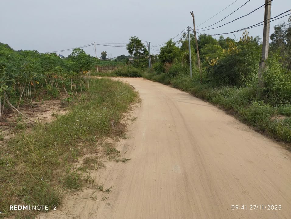 Đất nền Ấp 4 Bàu Cạn 3600m² giá thỏa thuận - Lô góc 2 mặt tiền hiếm có!