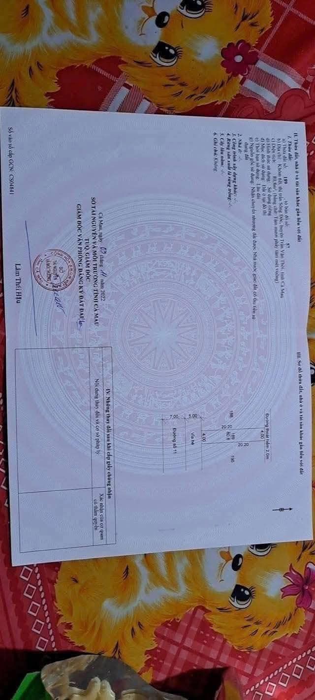 Đất thổ cư 80m² ấp 6, xã Sông Đốc giá chỉ 650 triệu - Cơ hội đầu tư hiếm có!