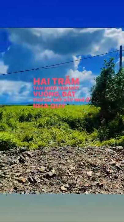 Bán đất Quốc lộ 25, xã Suối Bạc, 288m² chỉ 1 tỷ - Đầu tư sinh lời ngay!