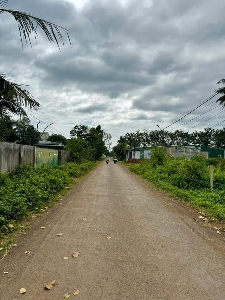 Mặt tiền FrontHouse đường Krông A, Tân An, 270m² giá 3.99 tỷ - Đầu tư sinh lời ngay!