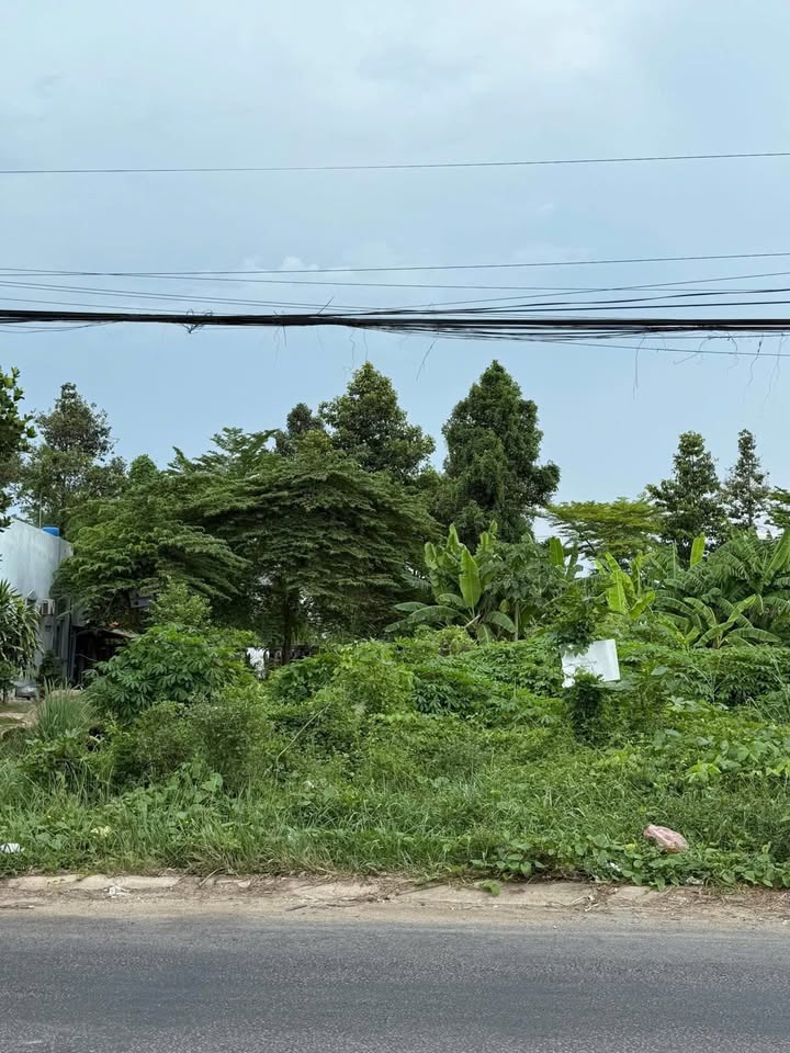 Đất nền tỉnh lộ 941, Bình Hòa, Châu Thành, An Giang 585m² giá 4.5 tỷ - Cơ hội đầu tư tuyệt vời!