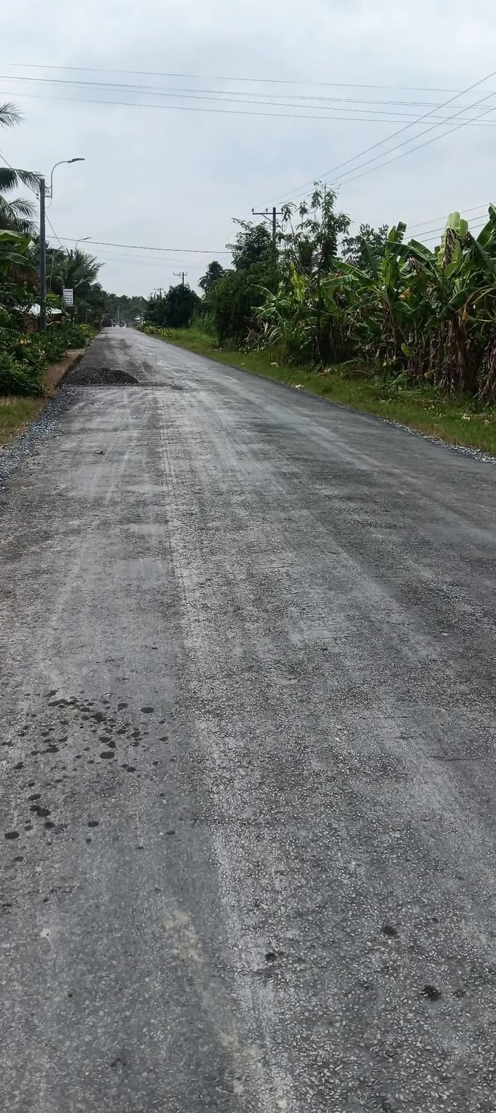 Đất nền 6 công mặt tiền đường tỉnh 907, xã Tân Mỹ, giá thỏa thuận - Cơ hội đầu tư lý tưởng!