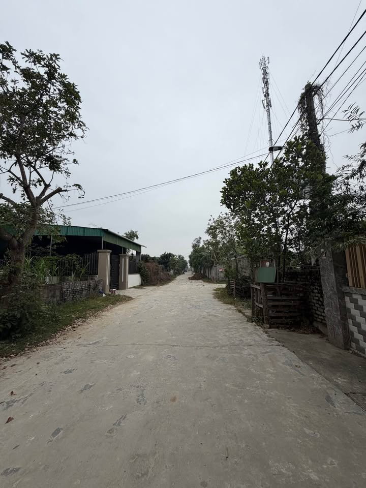 Đất Nghi Diên 1000m² full đất ở - Cơ hội đầu tư tuyệt vời!