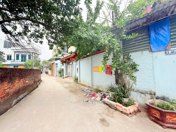 Đất nền rộng 103m² tại ngõ Đồng Minh, Hàm Rồng chỉ 1.9 tỷ - Sẵn sàng giao dịch!