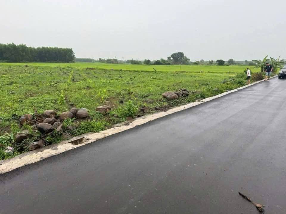 Đất nền 4300m² mặt tiền nhựa Phước Long Thọ - Giá chỉ 2.4 tỷ VND