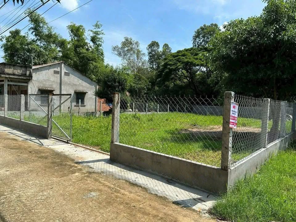 Đất nền Tân Xuân, Ba Tri 510m² giá chỉ 650 triệu - Cơ hội đầu tư hấp dẫn!