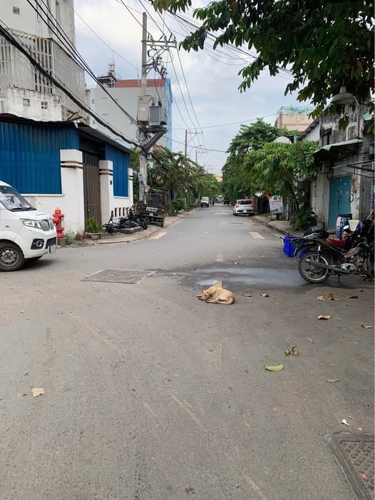 Đất Bà Điểm Hóc Môn 187.7m² giá 7.9 tỷ - Bán đất tặng nhà cấp 4 ở ngay!