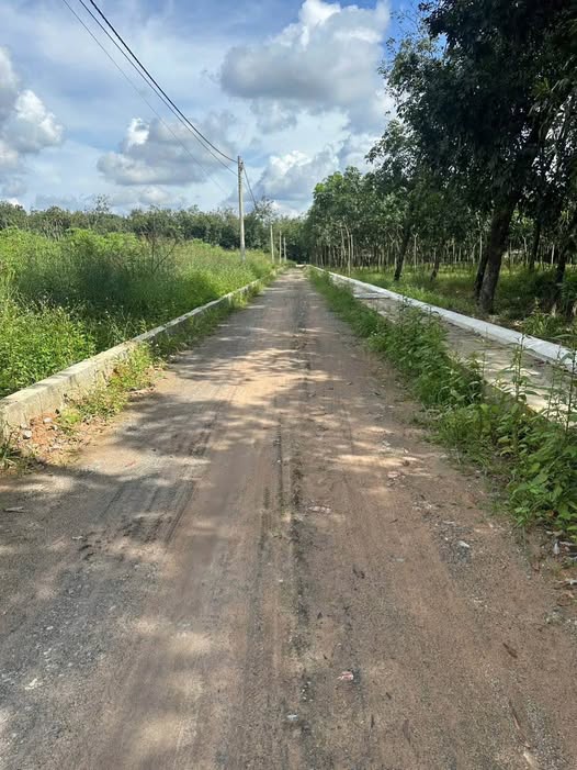 Đất thổ cư Chánh Phú Hòa Bến Cát 160m² giá 1.1 tỷ - Đầu tư sinh lời nhanh!