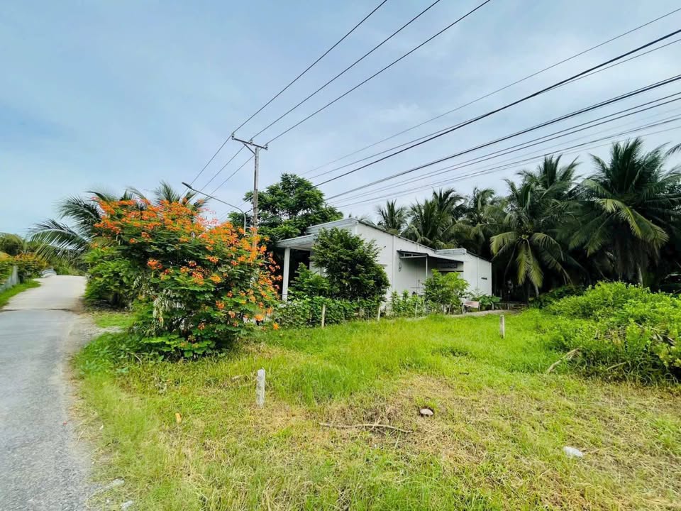 Đất nền mặt tiền hẻm 256 đường 30/4, phường Long Đức, 122m² - Giá chỉ 550 triệu!