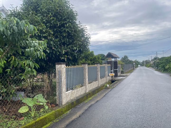 Đất vườn Măng Cụt Lữ Gia Lộc Châu 641m² giá 320 triệu - Sẵn thổ cư, hướng Tây!