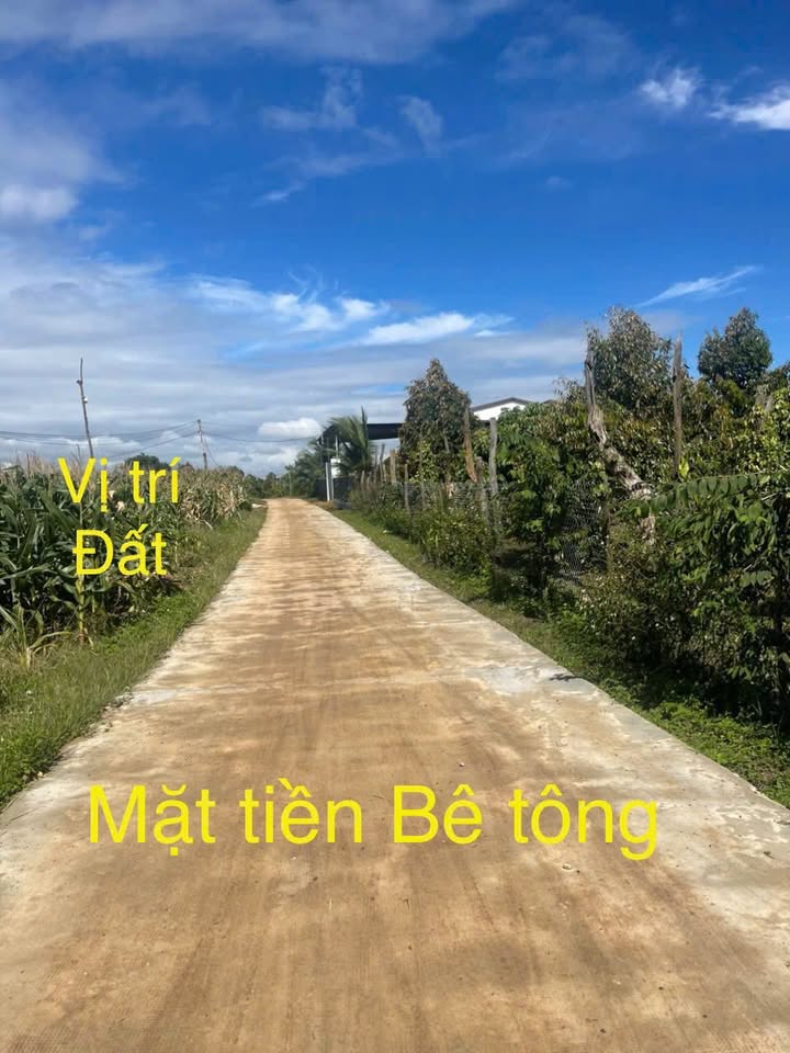 Đất nền Quảng Hiệp, Cư M'gar, Đắk Lắk 3640m² giá 1.95 tỷ - Tiềm năng đầu tư lớn!