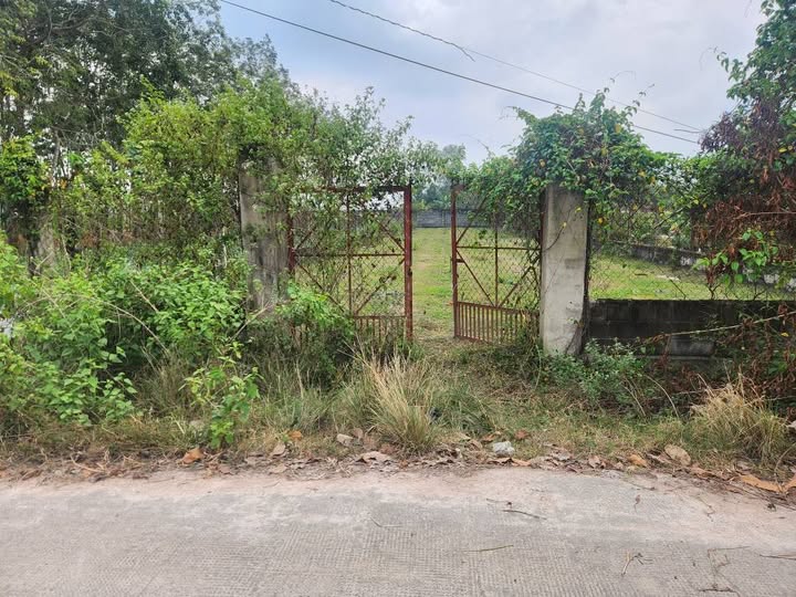 Đất nền An Nhơn Tây Củ Chi 966m² giá 2.6 tỷ - Cơ hội đầu tư tuyệt vời!