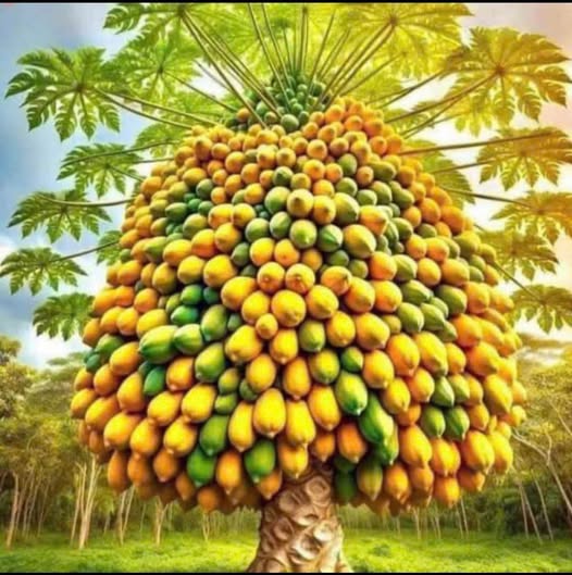 Đất đấu giá Gia Hưng 110m² giá thỏa thuận - Mặt tiền 5m hướng Tây