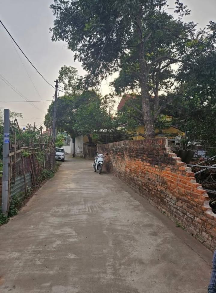 Đất thổ cư Đoan Khê, Lạc Đạo, Văn Lâm, Hưng Yên 155m² giá 4 tỷ - Tiềm năng sinh lời cao!