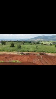 Đất nền Đông Thanh 518m² giá 850 triệu - View rừng thông tuyệt đẹp!