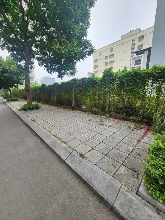 Đất phân lô Trạm Trôi - Quốc lộ 32 - Giá chỉ từ 15x triệu/m² - Tiện ích đầy đủ