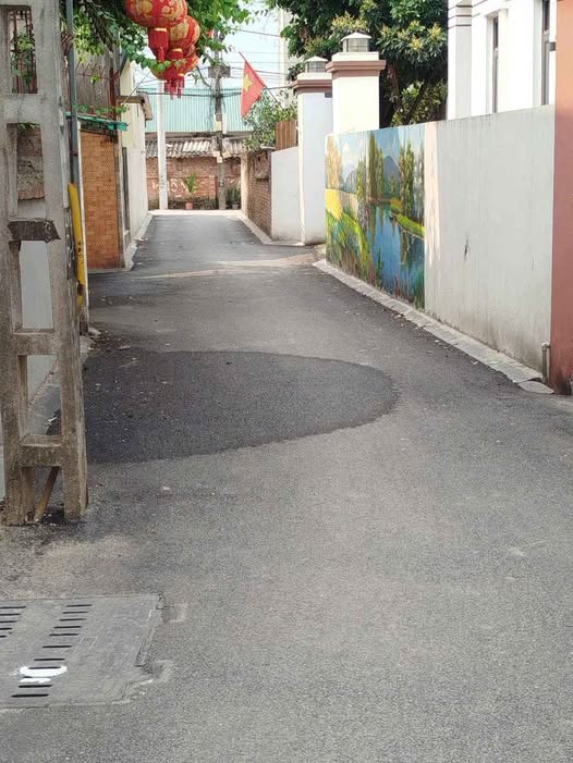 Đất Lê Xá, Đông Anh 67m² giá thỏa thuận - Ô tô vào tận đất!