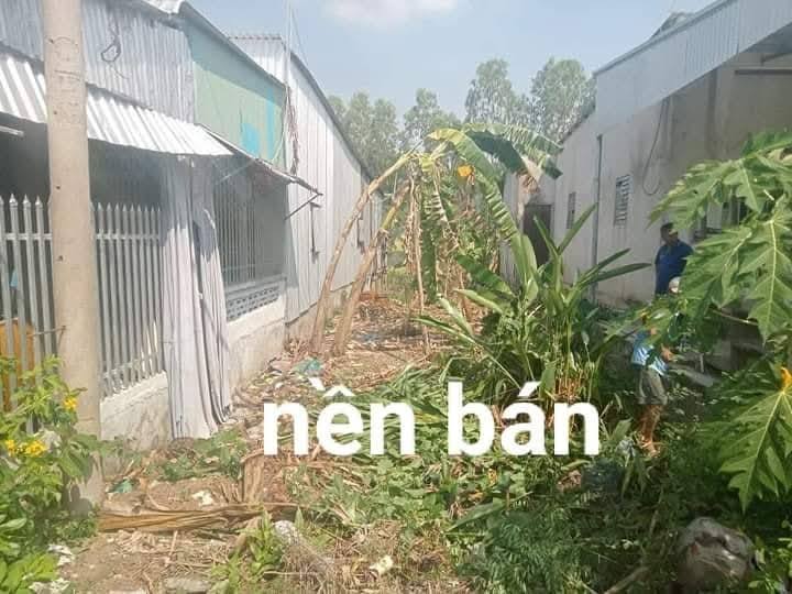 Đất ở đô thị Xuân Bình An Giang 80m² giá chỉ 330 triệu - Cơ hội đầu tư tuyệt vời!