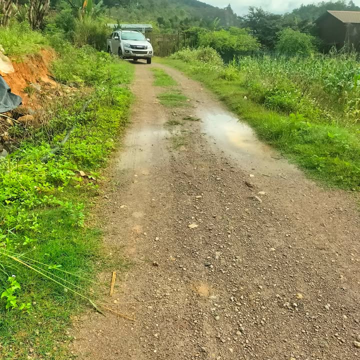 Đất trống cho thuê tại Hiệp Thạnh, Đức Trọng 5,3 sào - Tiện nghi đầy đủ!