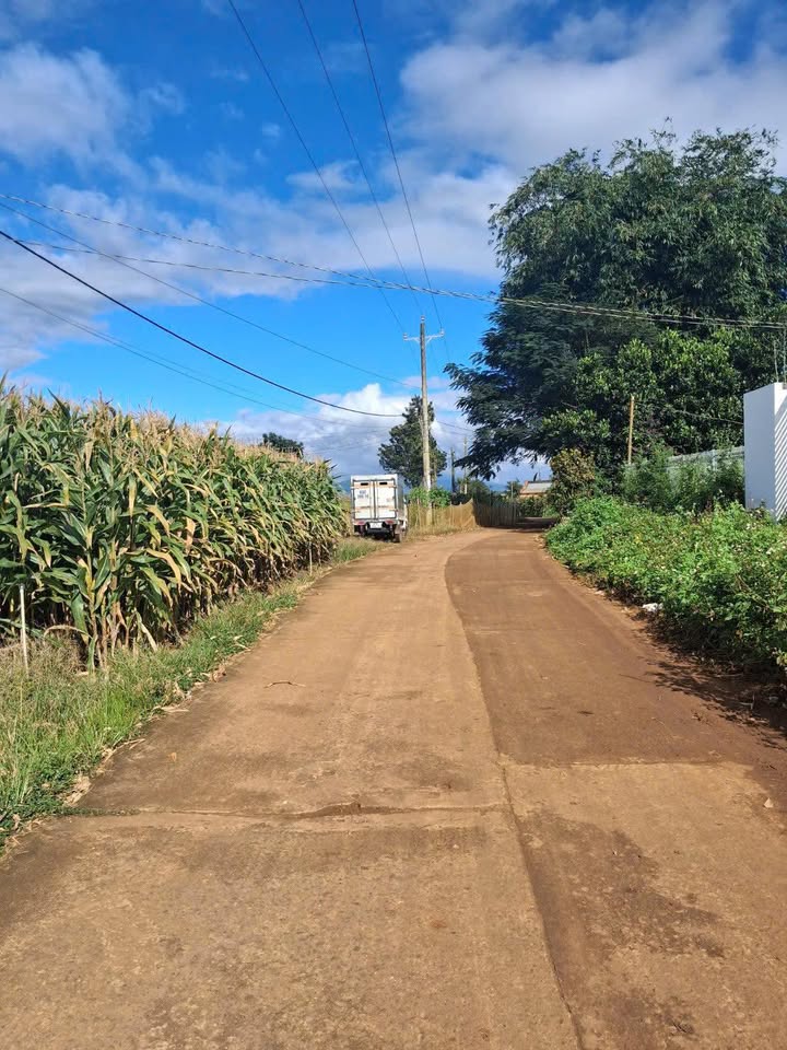 Đất nền Tân Hội Đức Trọng 203m² giá 640 triệu - Cơ hội đầu tư tuyệt vời!