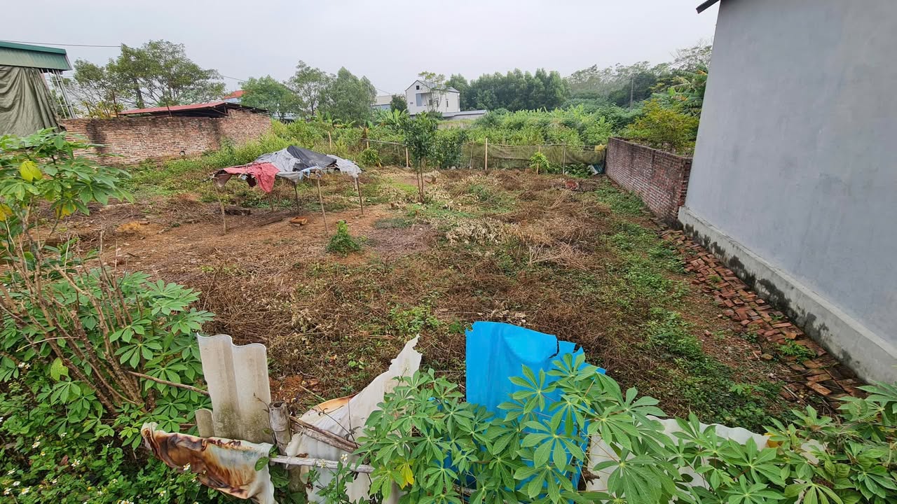 Đất nền xã Hy Cương, Việt Trì 400m² giá 4 tỷ - Sổ hồng chính chủ!