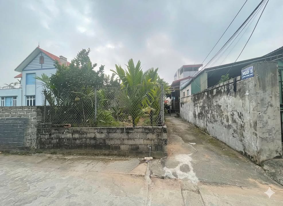 Đất nền Hồng Vân Thanh Trì 61m² giá 3.05 tỷ - Vị trí đắc địa sát TĐC Xâm Thị!