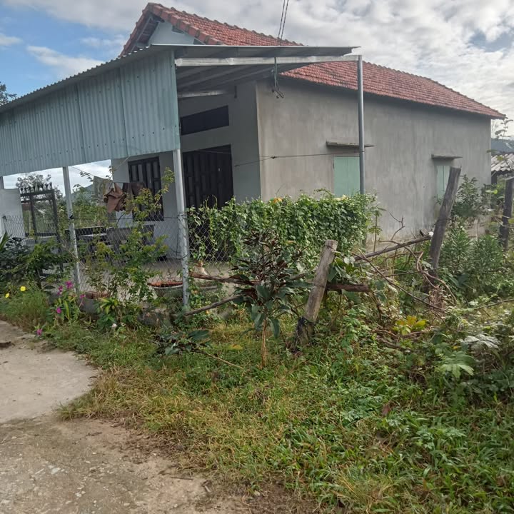 Nhà cấp 4 Tây Sơn, Pleiku 405m² - Giá thỏa thuận hấp dẫn!