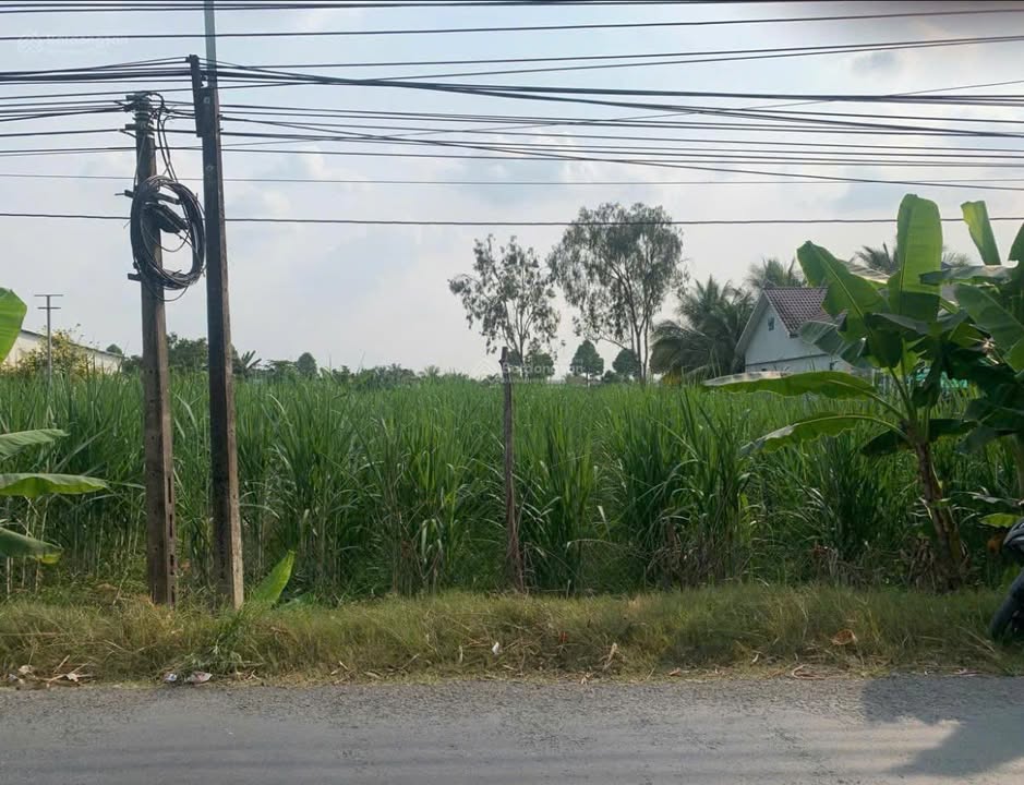 Đất nền đẹp đường DH22B, xã Phú Quới, 1.448m² giá 3,85 tỷ - Cơ hội vàng đầu tư!