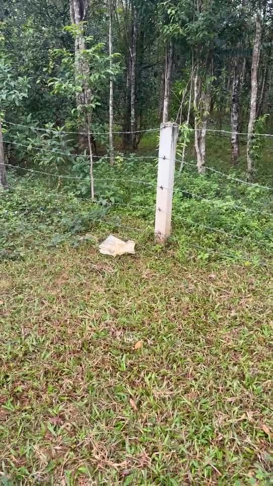 Đất nền Phúc Trạch, Hương Khê 308m² - Cơ hội đầu tư hấp dẫn!