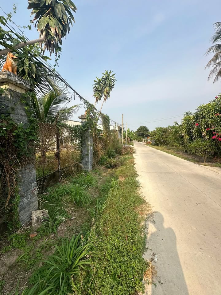 Đất nền khu phố Thanh Hùng, phường Thanh Điền, 192m² giá 2.048 tỷ - Cơ hội đầu tư hấp dẫn!