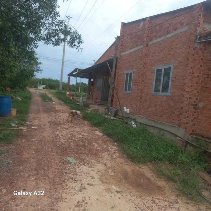 Đất thổ cư 90m² tại xã Phan, Dương Minh Châu - Chỉ 135 triệu - Đầu tư sinh lời ngay!