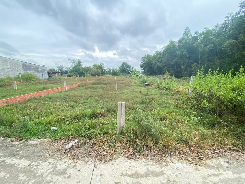 Đất nền Phước Thạnh, Gò Dầu 250m² giá 590 triệu - Đầu tư sinh lời tuyệt vời!