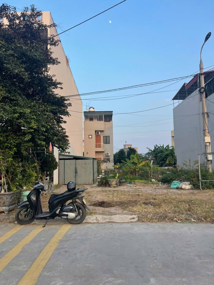 Đất nền Cẩm Vũ 100m² giá 4 tỷ - Vị trí kinh doanh thuận lợi!